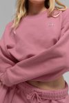 Cropped Accolade Crewneck – Pink Wild Rose